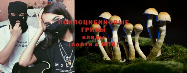 бошки Бронницы