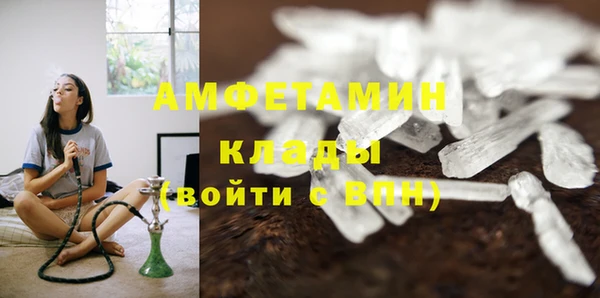 трава Богородицк
