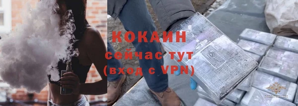 бошки Бронницы