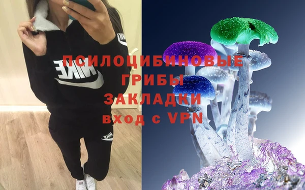 меф Бородино