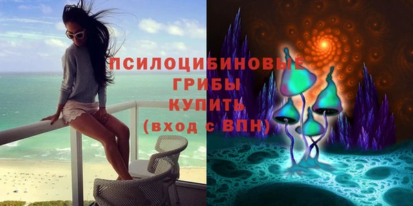 бошки Бронницы