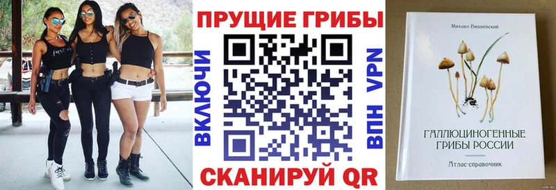 купить закладку kraken ONION Галлюциногенные грибы MAGIC MUSHROOMS Дальнегорск