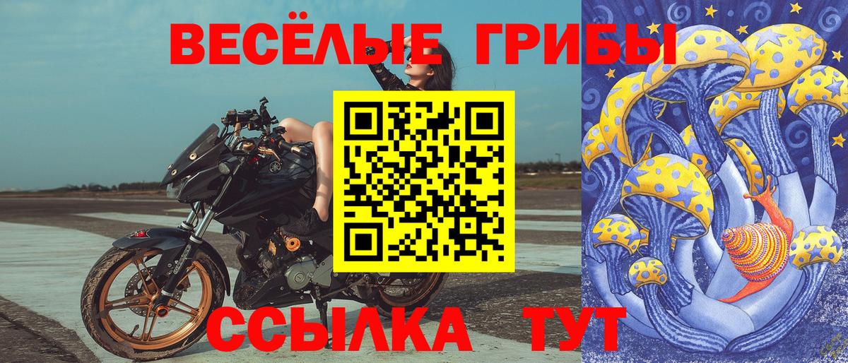 Псилоцибиновые грибы Cubensis  Вход с VPN  Дальнегорск  Псилоцибиновые грибы MAGIC MUSHROOMS 