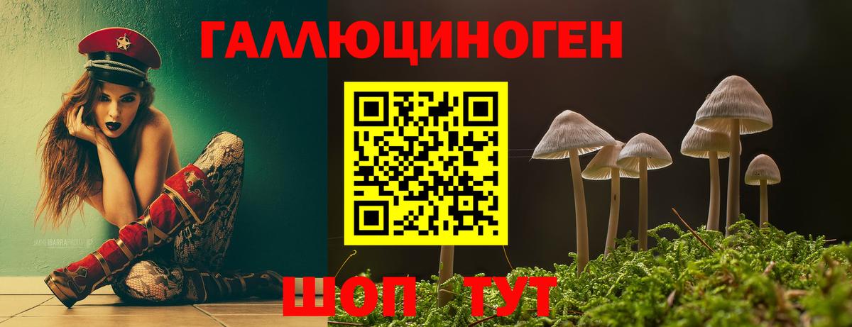 Галлюциногенные грибы Psilocybe Дальнегорск